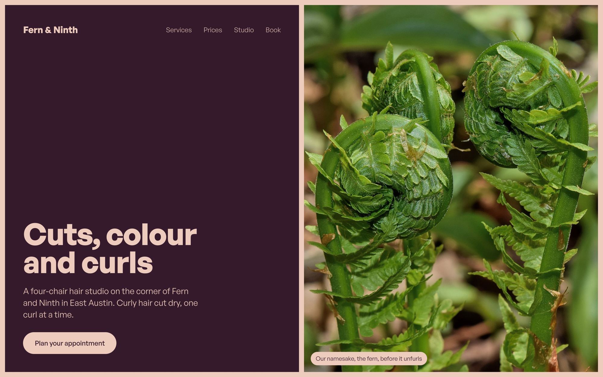 Fern & Ninth homepage on a desktop