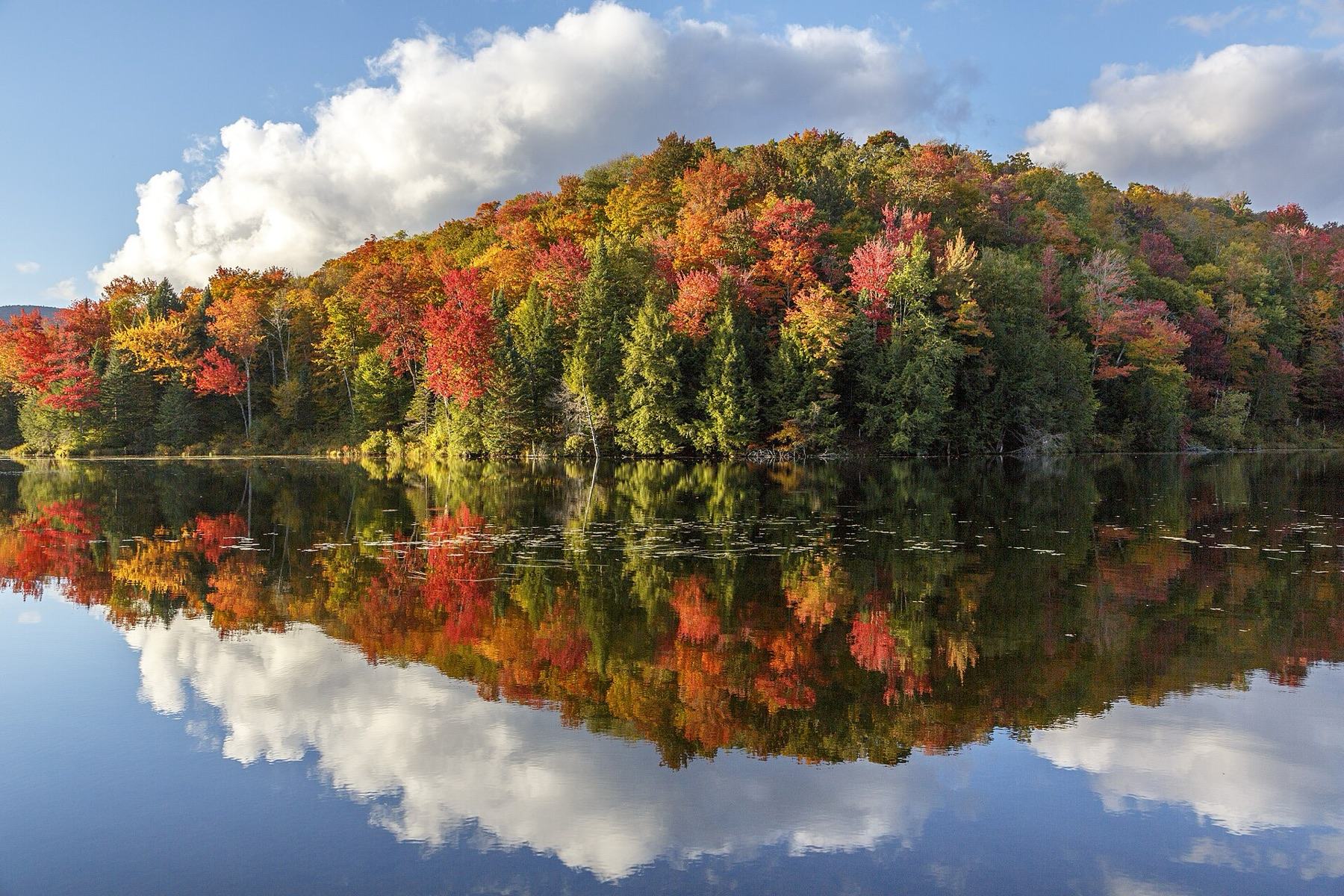 Vermont hillside in full autumn colour reflected in a still pond