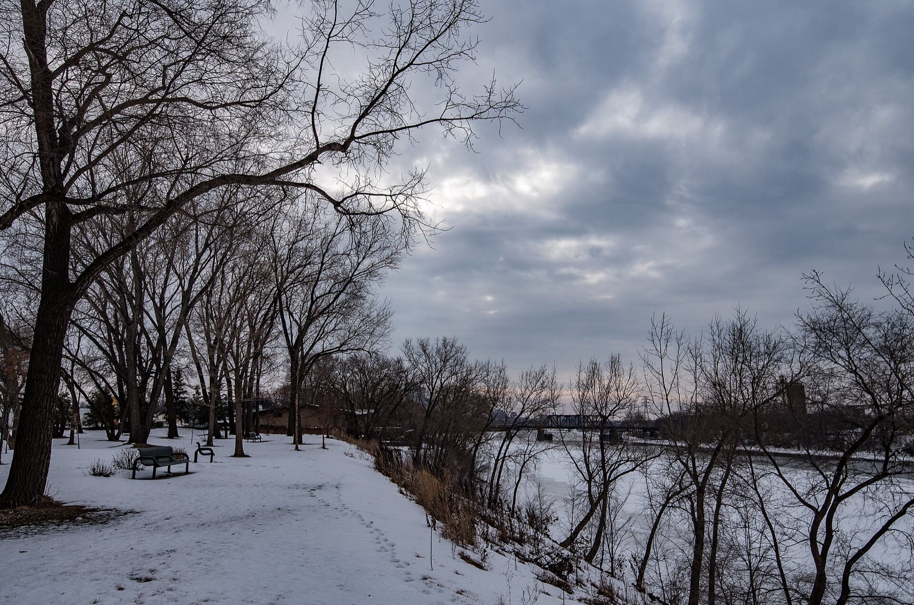 Snowy path under bare trees in Gluek Park beside the Mississippi River, Northeast Minneapolis